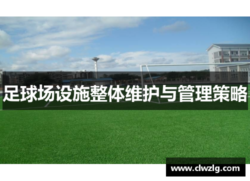 足球场设施整体维护与管理策略